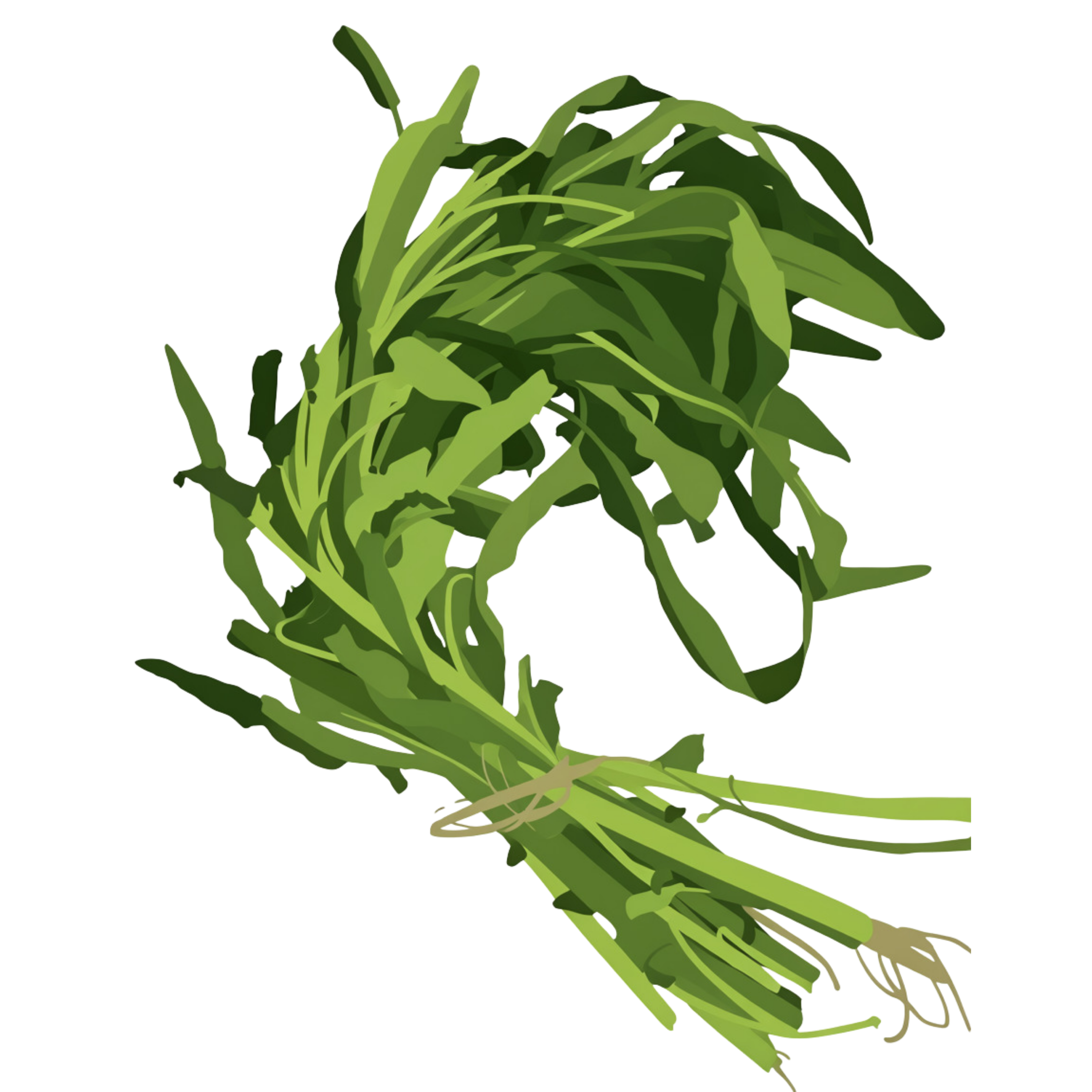 Kangkung